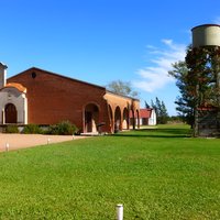 Wine cellar & Tasting in Montevideo with Outstanding Lunch