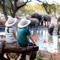 7 Days Best Luxury Safari To Tanzania