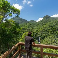 Private 6-hour Hiking Tour in the Tijuca Forest: Waterfalls, Viewpoints & Picnic