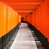 Kyoto Afternoon Tour from Kyoto or Osaka