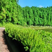Private E-Bike Tour on Sete Cidades Volcano's Rim with Lake View