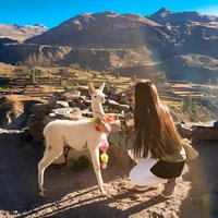 Colca Full Day