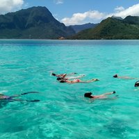 Snorkeling excursion and encounter with marine fauna in Moorea