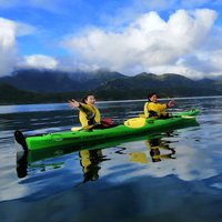 Full day Guided Sea Kayak Tour from Picton