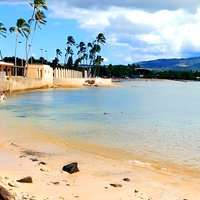 Oahu: All Day Circle Island Tour with Snorkeling