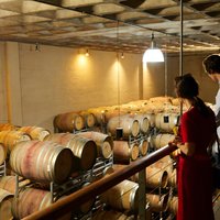 Best of Cape Town Cape Point and Wineries Combined Private Tour