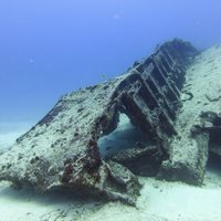 SPECIAL!! 2 Tank Wreck & Drift Reef dives