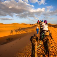 Shared Group Desert Tour Fes To Marrakech Via Merzouga 3 Days