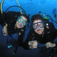 Intro/Refresher Dive Swim Ability Required