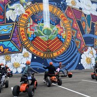 Downtown Dallas Sightseeing & History 2 Hour E-Bike tour