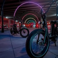 Downtown Dallas Night Sightseeing 2 Hour E-Bike tour