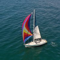 Knysna Day Sailing Cruise 1.5 hour