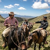 Horseback Riding in the Andes, gaucho experience & BBQ