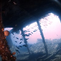 Try Diving in Tulamben - Shipwreck