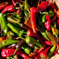Red or Green: Chef-Guided New Mexican Lunch Immersion