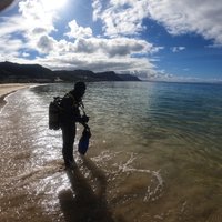 Beginner Scuba Diving Experience in Simonstown.