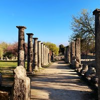 Half Day Olympia Private Tour