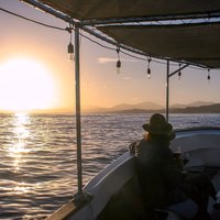 Wine Tasting Sunset Cruise Tour in San Jose del Cabo
