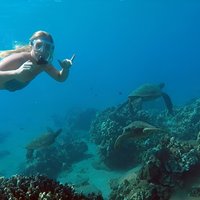 San Juan Guided Turtle Snorkel Tour and Complimentary Videos