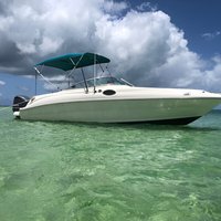 Private Full Day Charter - Stingray City, Starfish Point, Kaibo & Snorkeling