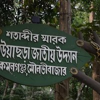 Srimangal Overnight Private Tour from Dhaka