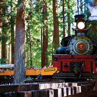3 Day Tour to Oregon Redwood Crater Lake from San Francisco