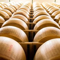Culatello and more: Private Full-Day Food Tour in Parma
