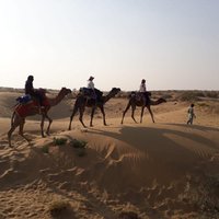 Private Overnight Safari Tour with Camel Ride