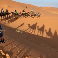 Desert excursion with camel trek into the camp Dinner breakfast