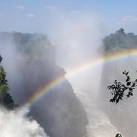 Guided Falls Tour & Zambezi River Cruise Combo