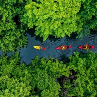 Afternoon Guided Kayak Tour on the Tamarin River