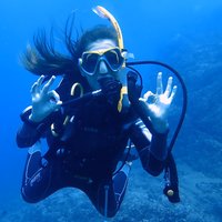 SSI Open Water Diver Course