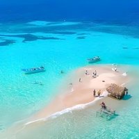Amazing Paradise Island + Snorkeling-Mangrove Tour & Locale Food.