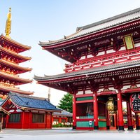 Private Tokyo Tour with Licensed Guide & Vehicle (Max 15 persons)