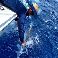 Fishing Charter 6 Hours