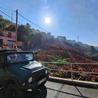 Real Life, Mountains & Sea Cliffs (Nun´s Valley View) - Half Day 4x4 Tour