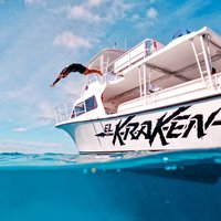 Private Snorkel Tour aboard El Kraken: Vieques AM or Icacos PM