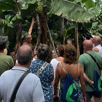 Guided tour of the Banana World