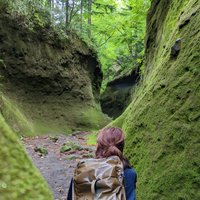 Private Day Trip of Lake Shikotsu and Moss Canyon