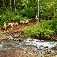 Jaco Mega Combo: Zipline, Horseback & Waterfall Rappel with Lunch