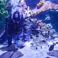 Alexander Waterfall and Antalya Aquarium Day Tour from Side