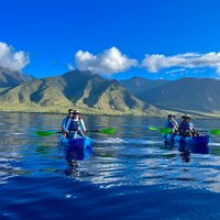 Kayak, Turtle Town Snorkel, Humpback Whale (Turtles Guaranteed)