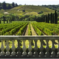 Private Half Day Txakoli Wine Tour & Getaria Fishing Village