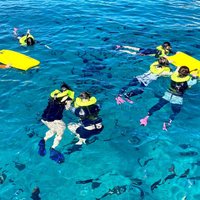 Deluxe Turtle Snorkeling Escapade at Waikiki