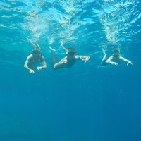 Tijuca Islands Snorkeling & Whale Watching Boat Tour from Rio