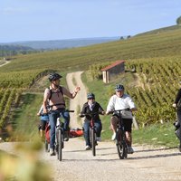 Guided tour of the Chablis Vineyards by e-bike