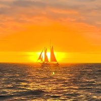Cape Town 90 minute Sunset Cruise with The Spirit of Victoria