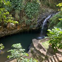Discover the Magic of Annandale Waterfall & Forest Park