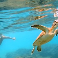 Private Rincon Snorkeling Adventure