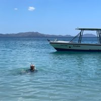 Private Snorkeling Tour by boat in Flamingo Beach